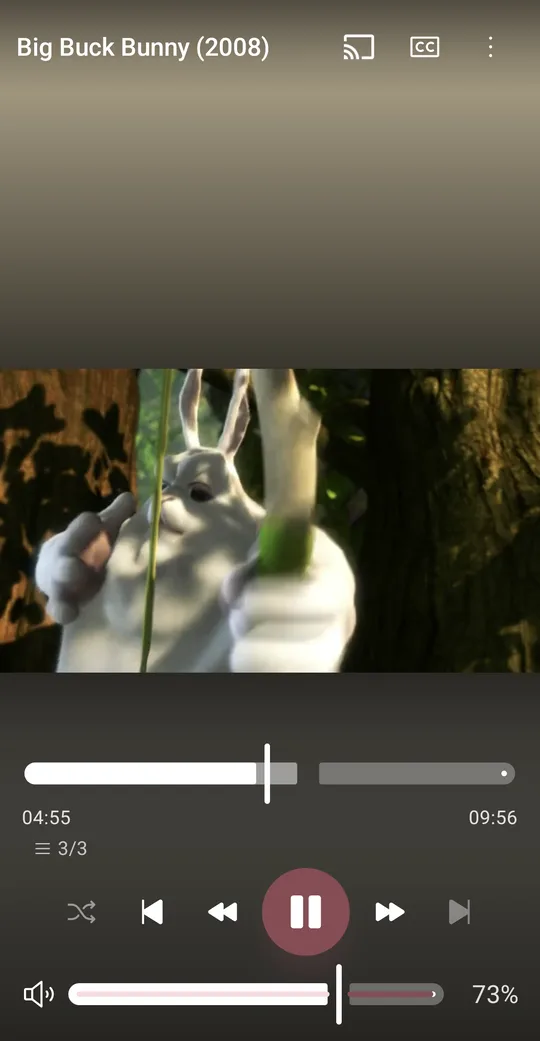 Lanelo video player with seek bar and controls